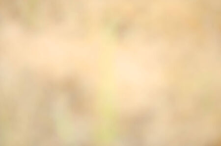 Abstract nature backgrounds.の写真素材