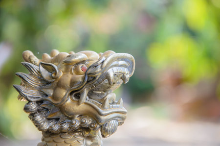 Dragon modelの写真素材