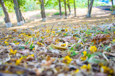 Fallsの写真素材