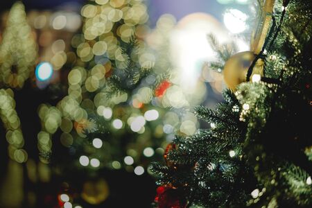 Christmas treesの写真素材