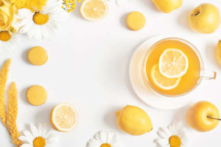 Spring and summer card. Daisies tea cup with lemon slice. Herbal tea with fresh flowers chamomile in mug. Vitamins, Healthy Diet. Concept of alternative medicine and immune boost. Cozy morning.の写真素材