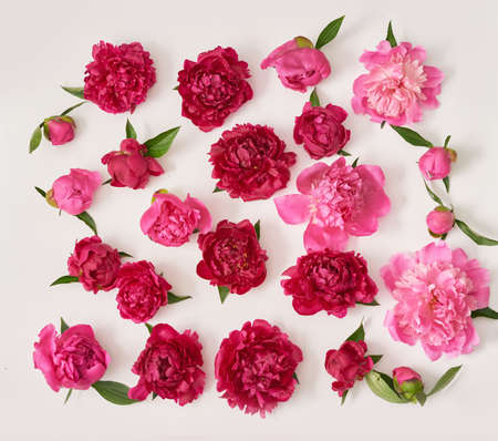 Peony bouquet. Rich bunch of peonies. Greeting card for mother's day. Women's Day. Valentine's Day....