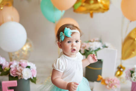 Smash cake party. Little cheerful birthday girl with first cake. Happy infant baby celebrating his...