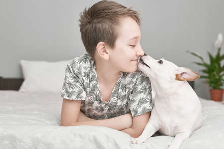 Two friends boy and dog jack russell terrier lying together on bed. Friendship concept. Cute little boy with funny dog at home. Young Boy Hugging his Dog. Children Protection Day. Happy childhoodの写真素材