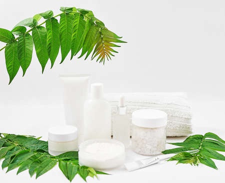 Flat lay composition Natural cosmetics ingredients for skincare, body and hair care.Top view bottles with facial treatment product white background. Makeup Layout. Set of traditional spa productsの写真素材