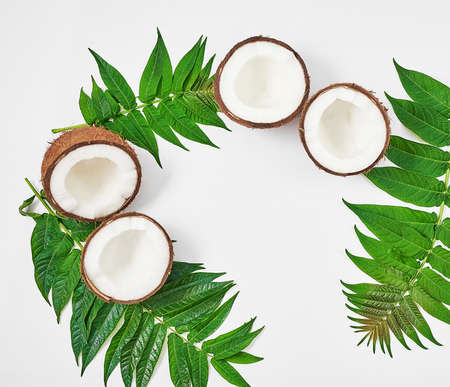 Flat lay coconut with half and leaves on white background. Hello summer! Green and white color. Copy...