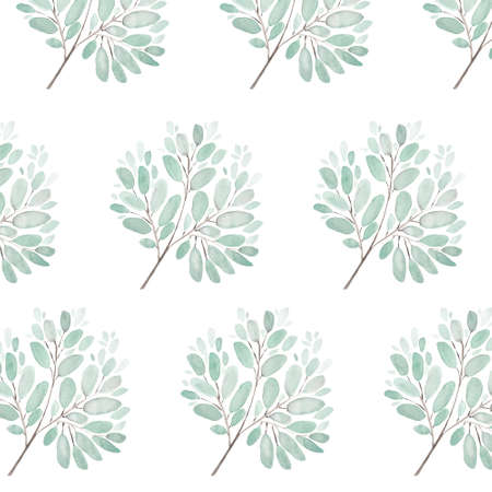 Leaves and branches watercolor illustration background. Hand painted floral elements set. Watercolor...