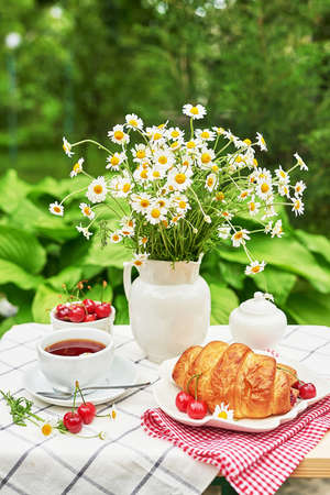 Breakfast outside. Cup of tea, strawberries, cherries, croissants, chamomile bunch on table. Summer picnic. Good morning concept.の写真素材