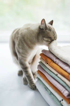 cat and stack of fabric. Factory cuts. handwork. Sewing accessories. Drapery