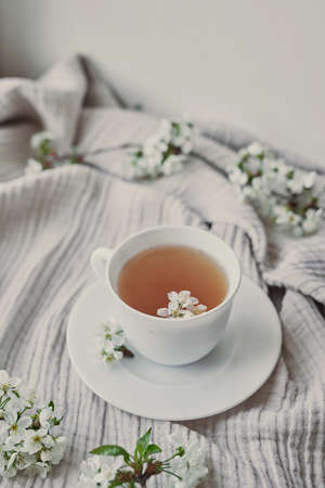 Letter, postcard congratulations background. Layout, top view, wedding invitation. Happy birthday! Mother's day, spring card. Tea set and cup.の写真素材