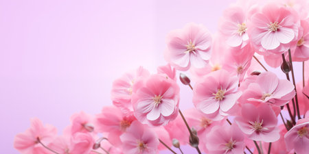 Spring flowers card, Happy Easter background. Mother's Day. International Women's Dayの素材