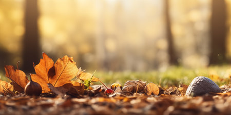 Cozy Autumn backdrop. Falling leaves backdrop. Park, nature, outdoor. Decoration Halloween backgroundの素材