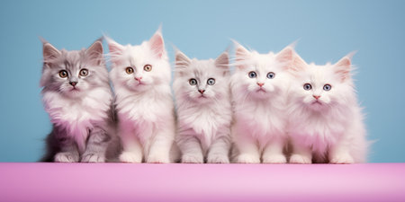 Cute kitten backgroundの素材