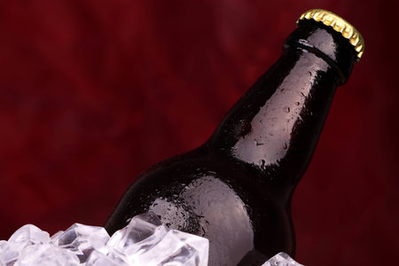 bottle of beer in ice cubesの写真素材