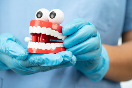 Dentist holding tooth funny toy denture red color jaw and eye model to study and treat in hospital.