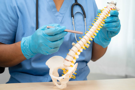 Doctor holding lumbar vertebrae spine skeleton bone and spinal nerve with displaced herniated disc...