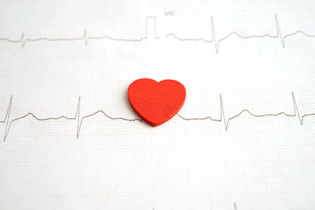 Electrocardiogram ECG, heart wave, heart attack, cardiogram report.の写真素材