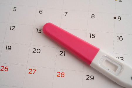 Birth control pills for female of ovulation day, fetus, maternity, childbirth.