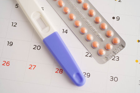 Pregnancy test for female of ovulation day, fetus, maternity, childbirth, birth control.