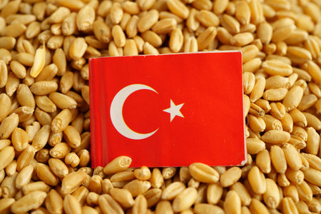 Turkey flag on grain wheat, trade export and economy concept.の写真素材