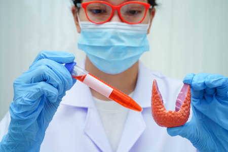 Doctor holding thyroid gland model and blood sample test tube in laboratory.