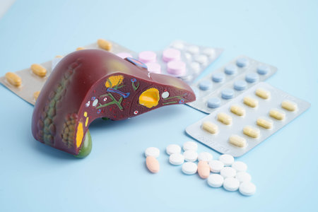Liver model with pill drug treatment, Cirrhosis, Liver cancer, fatty liver.