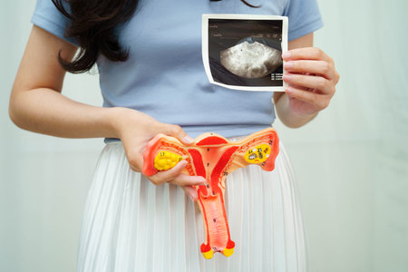 Uterus ultrasound, Asian woman holding human anatomy model.の写真素材
