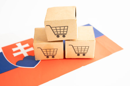 Online shopping, Shopping cart box on Slovakia flag, import export, finance commerce.の写真素材