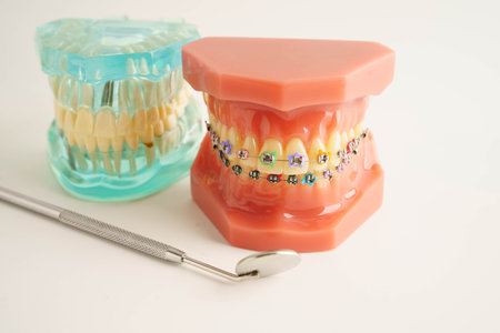 Teeth dental model with tool for dentist use to cleaning care treatment.