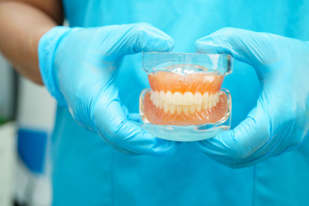 Asian dentist holding dental teeth model for learn about dentistry.