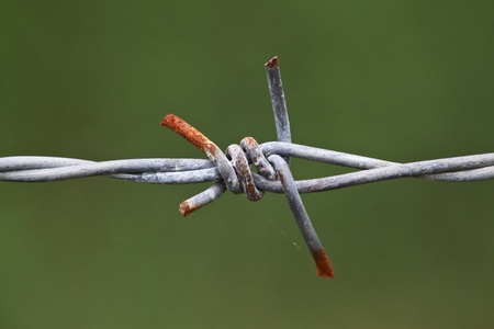 strand of the iron wire on green background