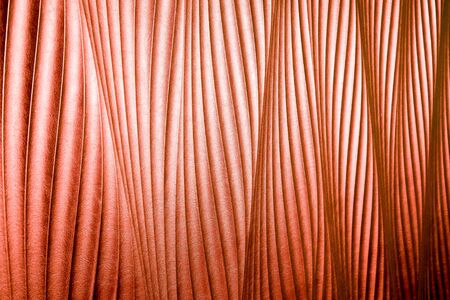Copper colored leather texture or backgroundの写真素材
