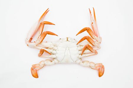 steamed crab on white background.