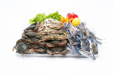 Fresh crab on a white backgroundの写真素材