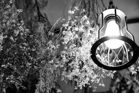 Vintage luxury interior lighting lamp decor hang on ceilingの写真素材