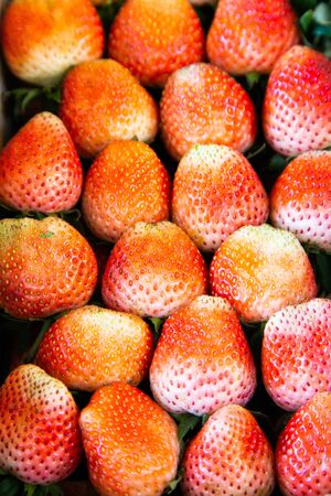 Strawberries background. Strawberry. Food background.の写真素材