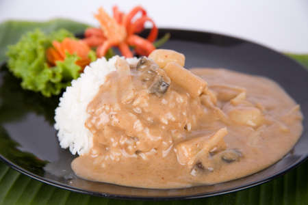 Chicken in brown sauce with rice.の写真素材