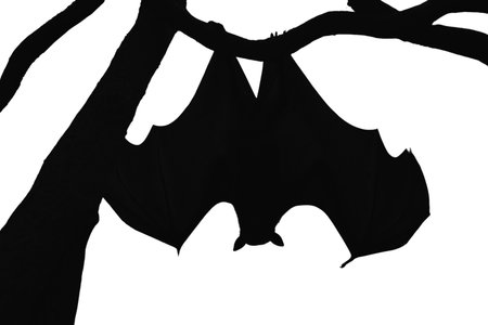 Black silhouettes of bats set on white background