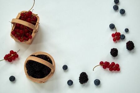 Red currant and blackberry in small baskets on white with copyspaceの写真素材