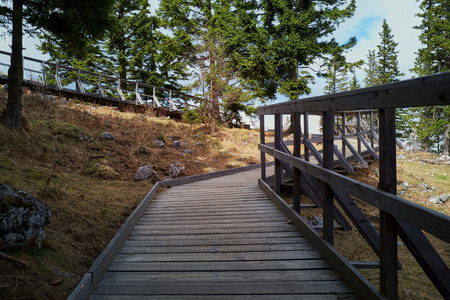 Hiking trail in Austrian Alpsの写真素材