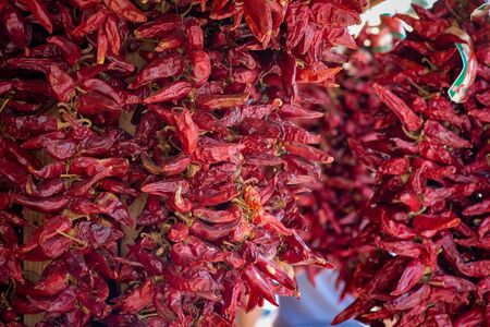 Closeup of chili peppers drying in rows in summer bright sunの写真素材