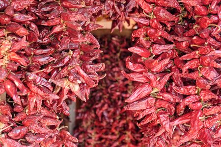 Bunch of red dry hot chili paprika in the bright sunの写真素材
