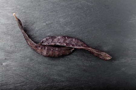 The pod of the carobon a stone plateの写真素材