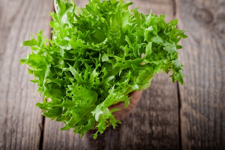 Fresh green lettuce on a wooden table.
