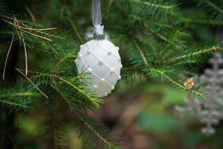 Christmas Ornaments ball on a Christmas Tree.の写真素材
