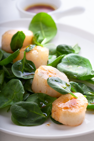 Scallop Salad with greenery on a white plate.の写真素材