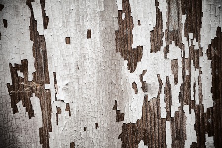 Old abstract background from the cracked paintの写真素材
