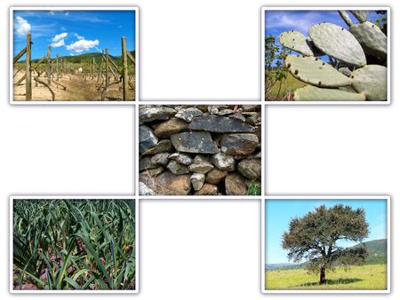 Sardinia countryside views over white backgroundの写真素材