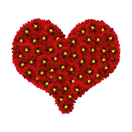 Heart made of red Dhalia flowers isolated over white backgroundの写真素材