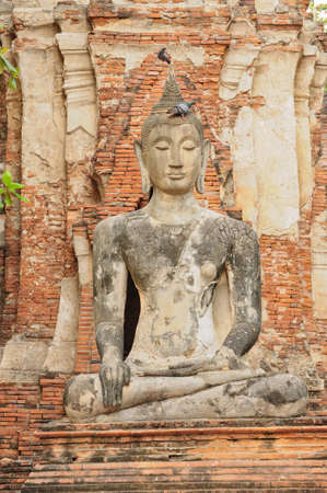 Buddha in Ayutthaya Thailandの写真素材